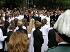 10DieMesse-70x52