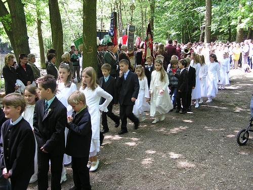 11Prozessionsbleder-500x375