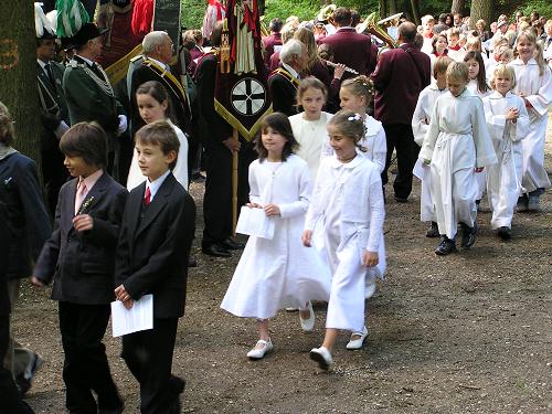 16Prozessionsbleder-500x375
