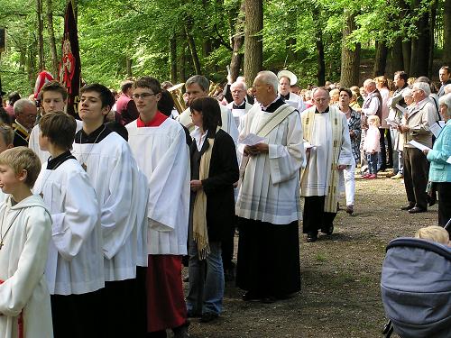 20Prozessionsbleder-500x375