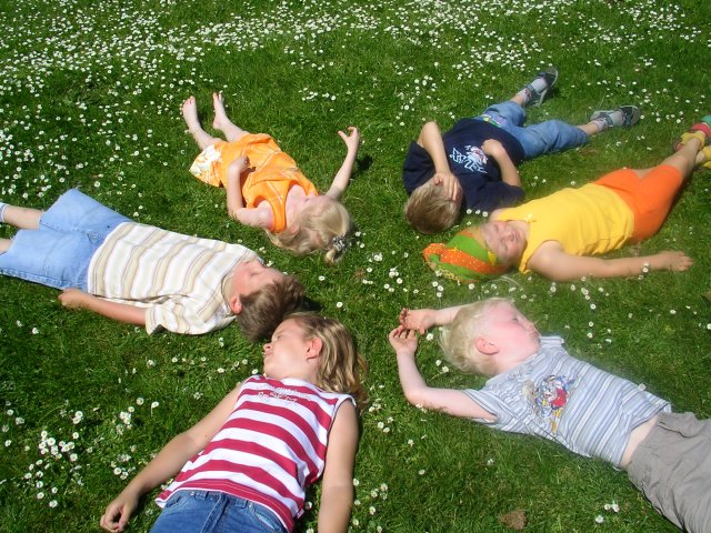 Kinder in Wiese